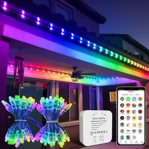 Outdoor Waterproof Led Pixel Light Smart Rgb Led Full Color Pixel Light